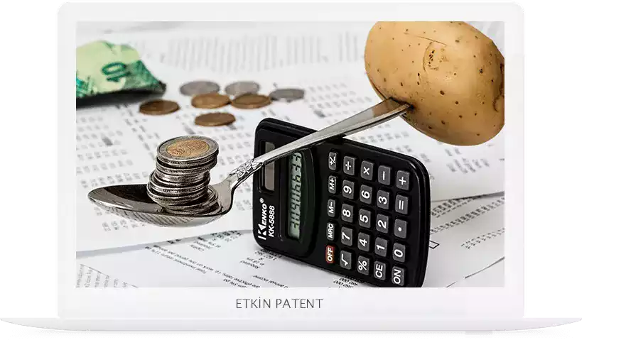 finansal davranışlara dair kombinasyon modeller-Fatih Patent